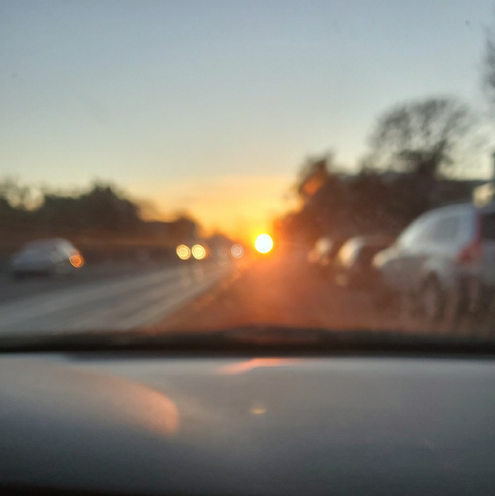 Meet your Posher, Flora